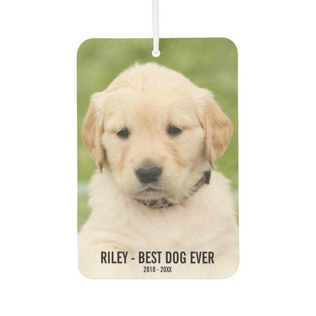 Dog Memorial, 2 Photos, Best Dog Ever, Car Air Freshener (Front)