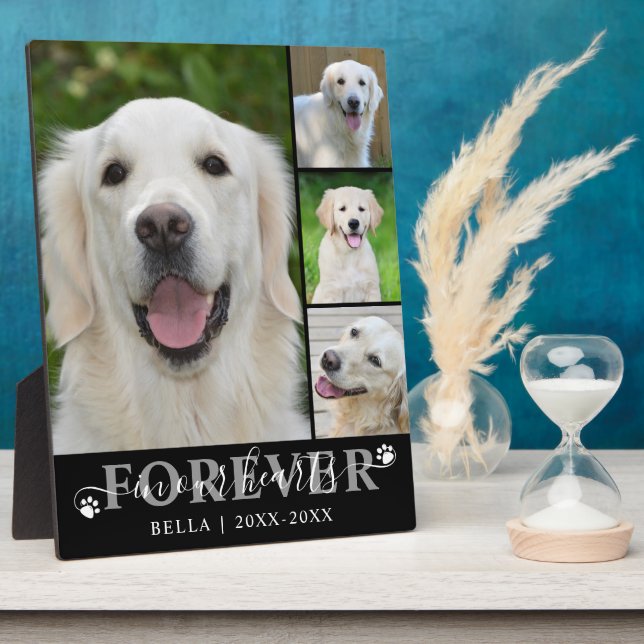 Dog Memorial 4 Photo Forever in our Hearts Plaque (Side)