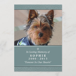 Dog Memorial Card 5x7 Teal Don't Grieve Poem