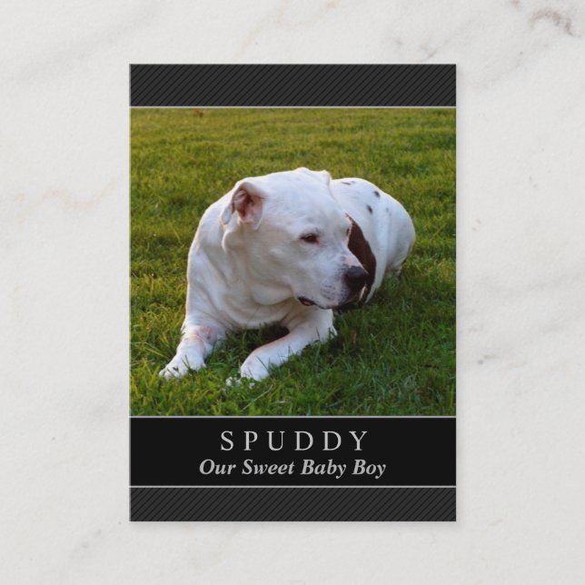 Dog Memorial Card - Modern Black Photo Card (Front)