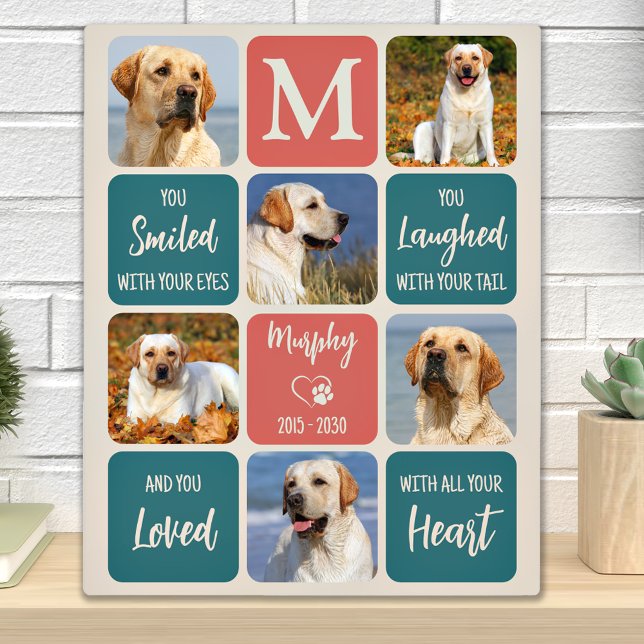 Dog Memorial Gift Pet Loss Modern Colourful 6 Phot Plaque (Creator Uploaded)