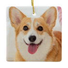 Dog Memorial Pet Loss Personalised Sympathy Photo