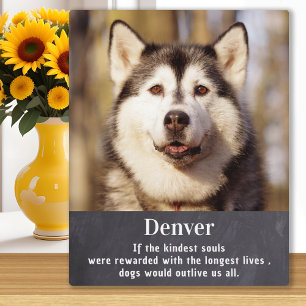 Dog Memorial - Pet Loss Sympathy - Custom Photo Plaque