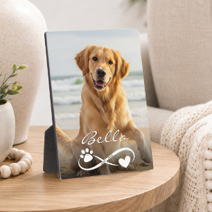 Dog Memorial Photo Paw Heart Infinity Keepsake Plaque