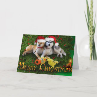 Dog Merry Christmas Card