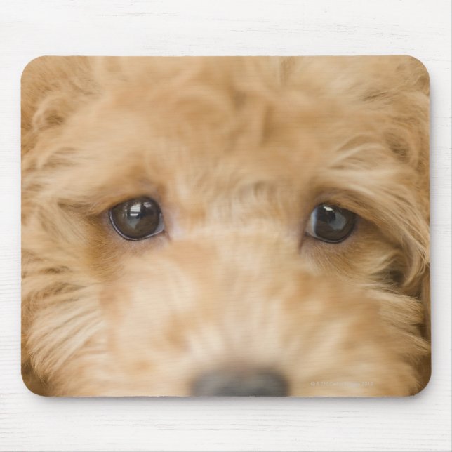 Dog Mouse Pad (Front)