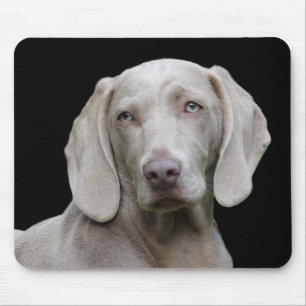 dog mouse pad