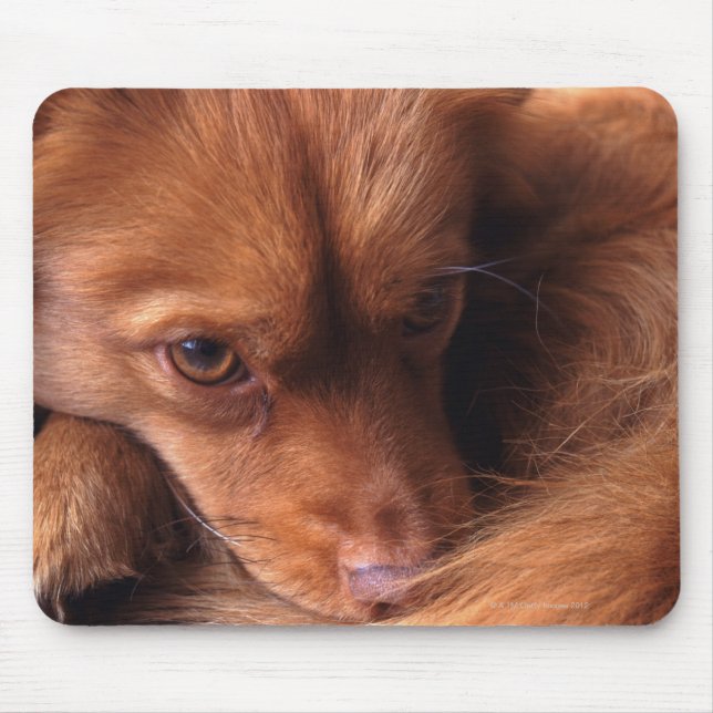 dog mouse pad (Front)