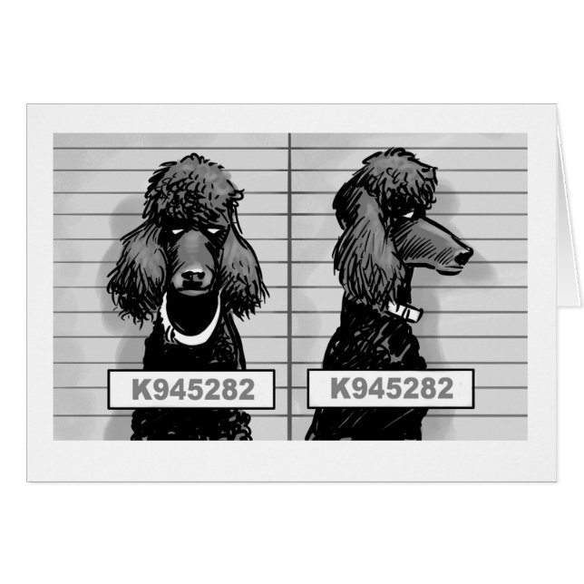 Dog Mug Shot Card (Front Horizontal)