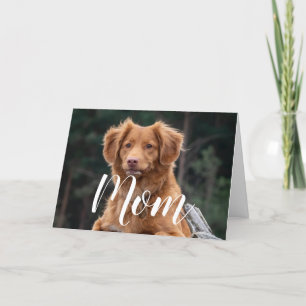 Dog Mum Funny Happy Birthday Cute Dog Mum Card