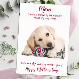 Dog Mum Funny Pet Photo Personalised Mothers Day Holiday Card