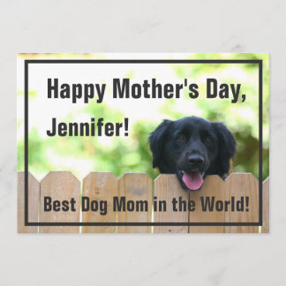 Dog Mum | Happy Mother's Day Card