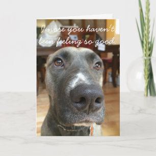 Dog Nose Get Well Card