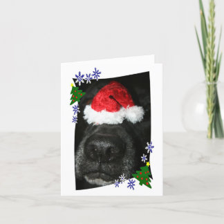 Dog Nose Wearing Santa hat, black lab mix Holiday Card