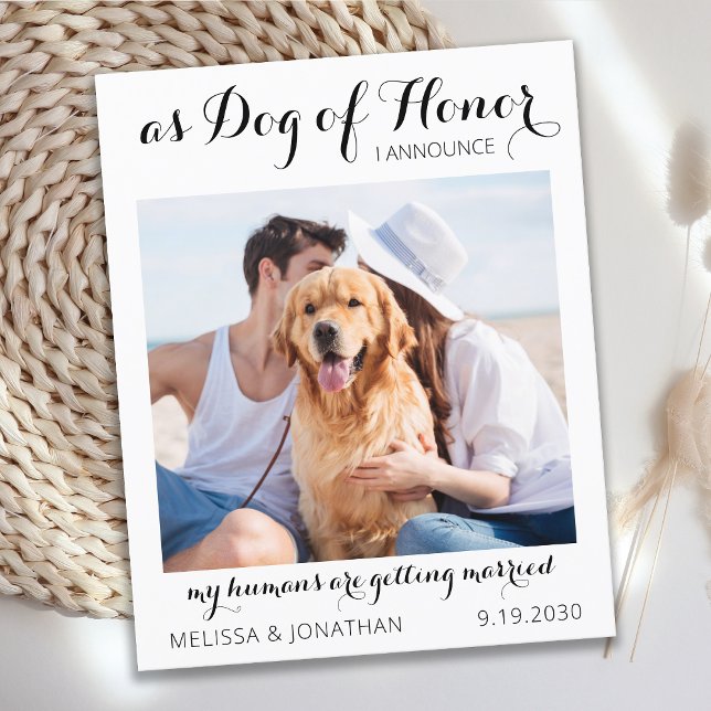 Dog Of Honour Budget Wedding Save The Date Postcar (Creator Uploaded)