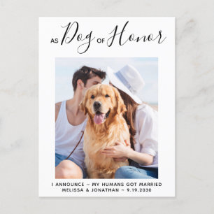 Dog of Honour Just Married Dog Wedding Announcement Postcard