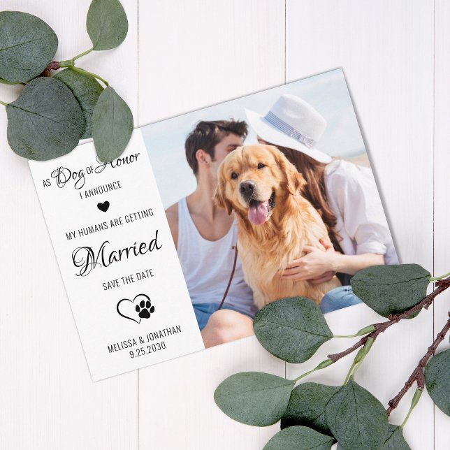 Dog Of Honour Personalised Pet Photo Dog Wedding Save The Date (Creator Uploaded)