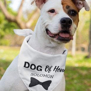 Dog of Honour pet wedding Bandana