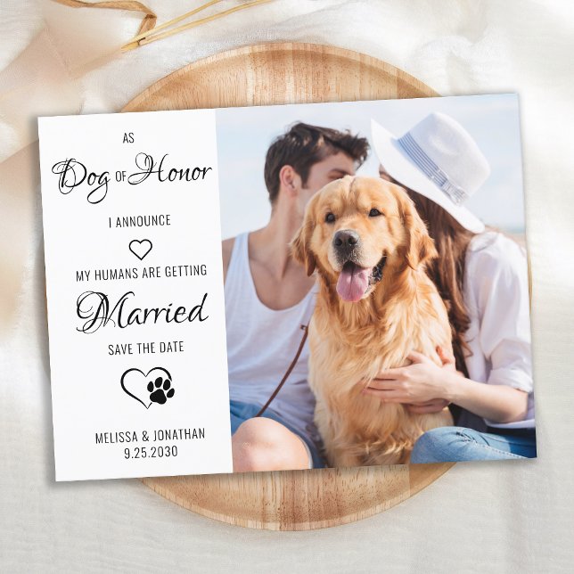 Dog Of Honour Pet Wedding Photo Save The Date    Announcement Postcard (Creator Uploaded)