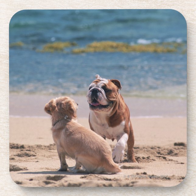 Dog of Sandy Beach Coaster (Front)