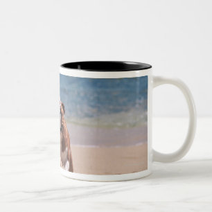 Dog of Sandy Beach Two-Tone Coffee Mug
