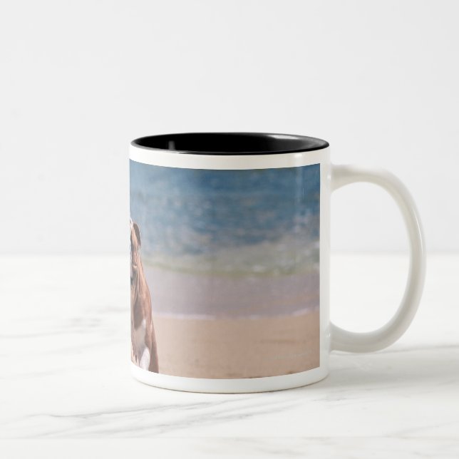 Dog of Sandy Beach Two-Tone Coffee Mug (Right)