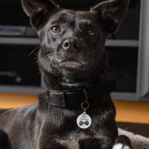 Dog of the Groom   Dog in Wedding Pet Tag