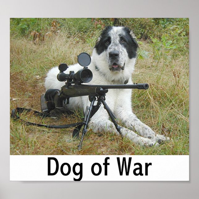 Dog of War 2 Poster (Front)