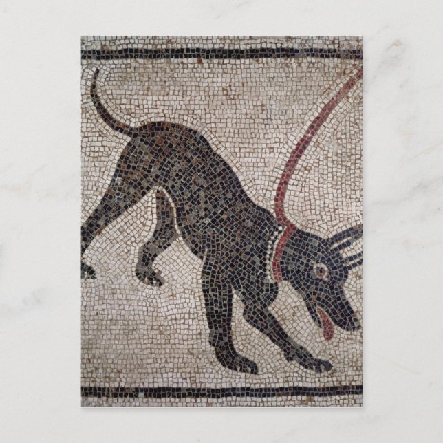 Dog on a leash, from Pompeii Postcard (Front)