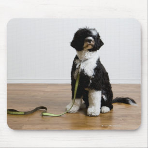 dog on a leash mouse pad