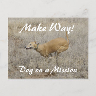 Dog on a Mission Postcard