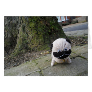 Dog on a Pavement