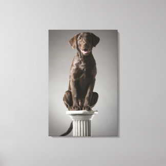 dog on a pedestal canvas print