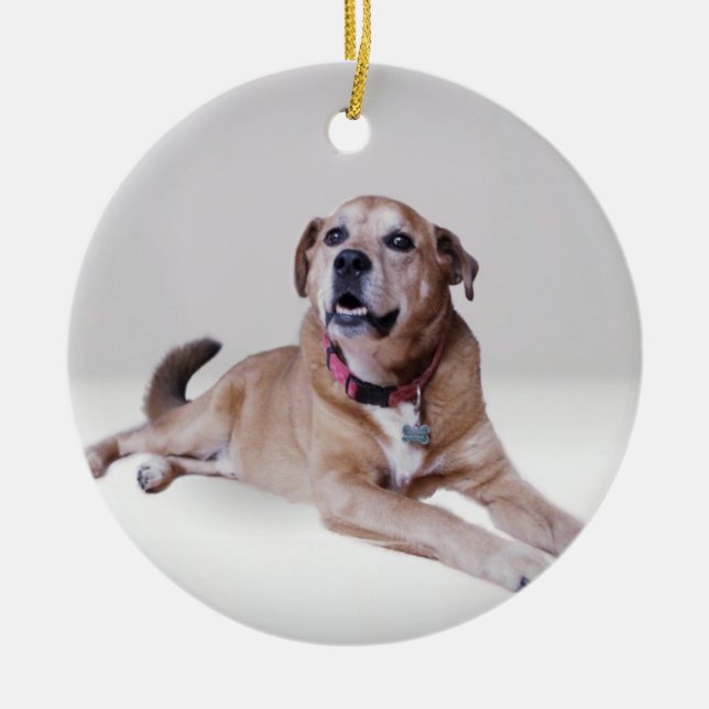 Dog on an ornament (Front)