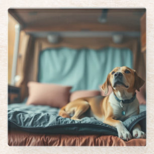 Dog on Bed Glass Coaster