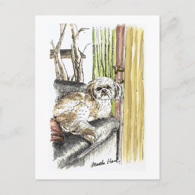 Dog on Couch Postcards (Front)