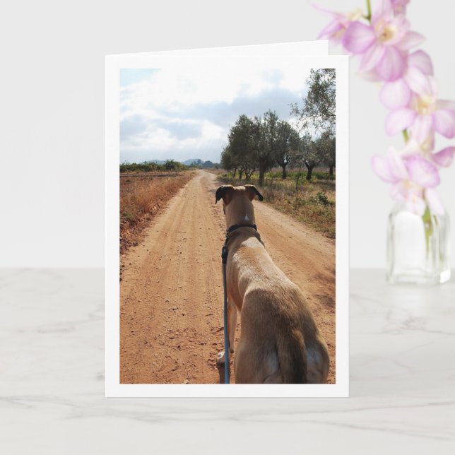 Dog on Dusty Road Card (Orchid)