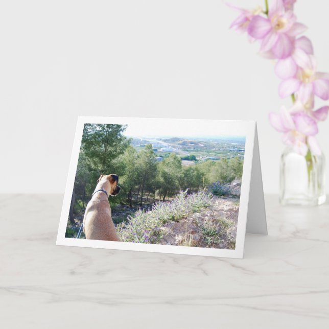 Dog on Mountain Portrait Card (Orchid)