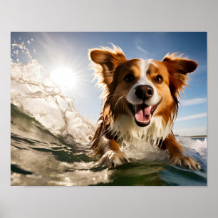 Dog on surfing board poster