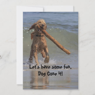 Dog on the Beach Invitation