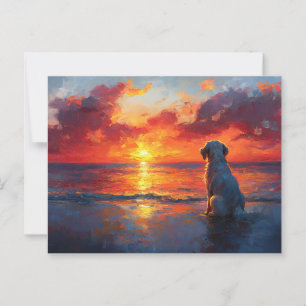 Dog on the Beach Watching the Sunset Postcard