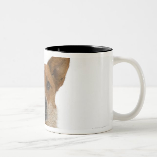 Dog on White 01 Two-Tone Coffee Mug (Right)