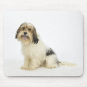 Dog on White 104 Mouse Pad