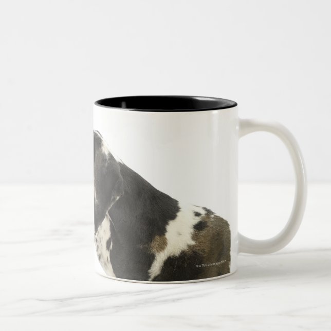 Dog on White 11 Two-Tone Coffee Mug (Right)