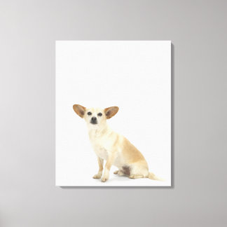 Dog on White 13 Canvas Print