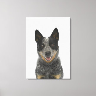 Dog on White 5 Canvas Print