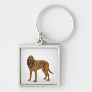 Dog on White 97 Key Ring