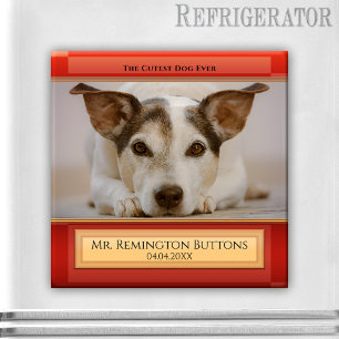 Dog or Cat Keepsake Memorial Custom Photo Magnet