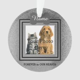 Dog or Cat Silver Perfect Memories Ornament