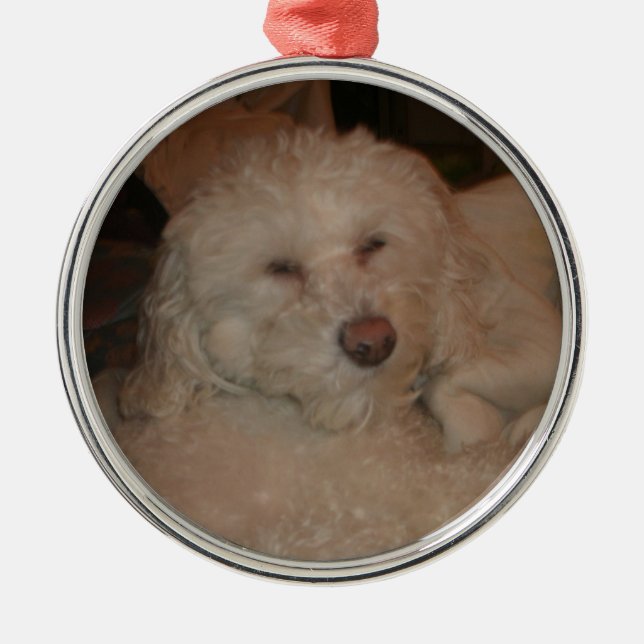 Dog Ornament (Front)